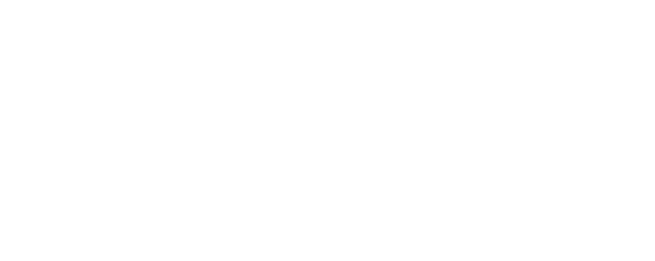 Partner-Logo (Platzhalter)